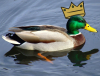 goddess of ducks's Avatar