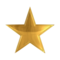 Star of Excellence  

