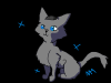 Shadedstorms23's Avatar