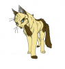 Desertstorm's Avatar