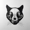 Skullface's Avatar