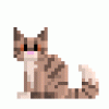 krdalphin's Avatar