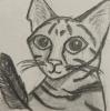Kiwi_Rocks's Avatar