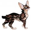 RushingCreek's Avatar