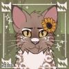 Kloud_11's Avatar
