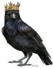 Raven King's Avatar