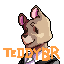 teddybr's Avatar