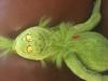 kitty friends's Avatar