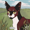 echosunn's Avatar