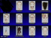Bigoofers1001's Avatar