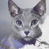 small thistle.'s Avatar