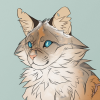 SpiritRun's Avatar