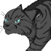 namen_roodles's Avatar