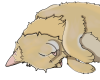 Zel.'s Avatar