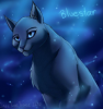 brianna_grace13's Avatar