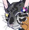 seeingstars's Avatar