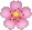 Flower1